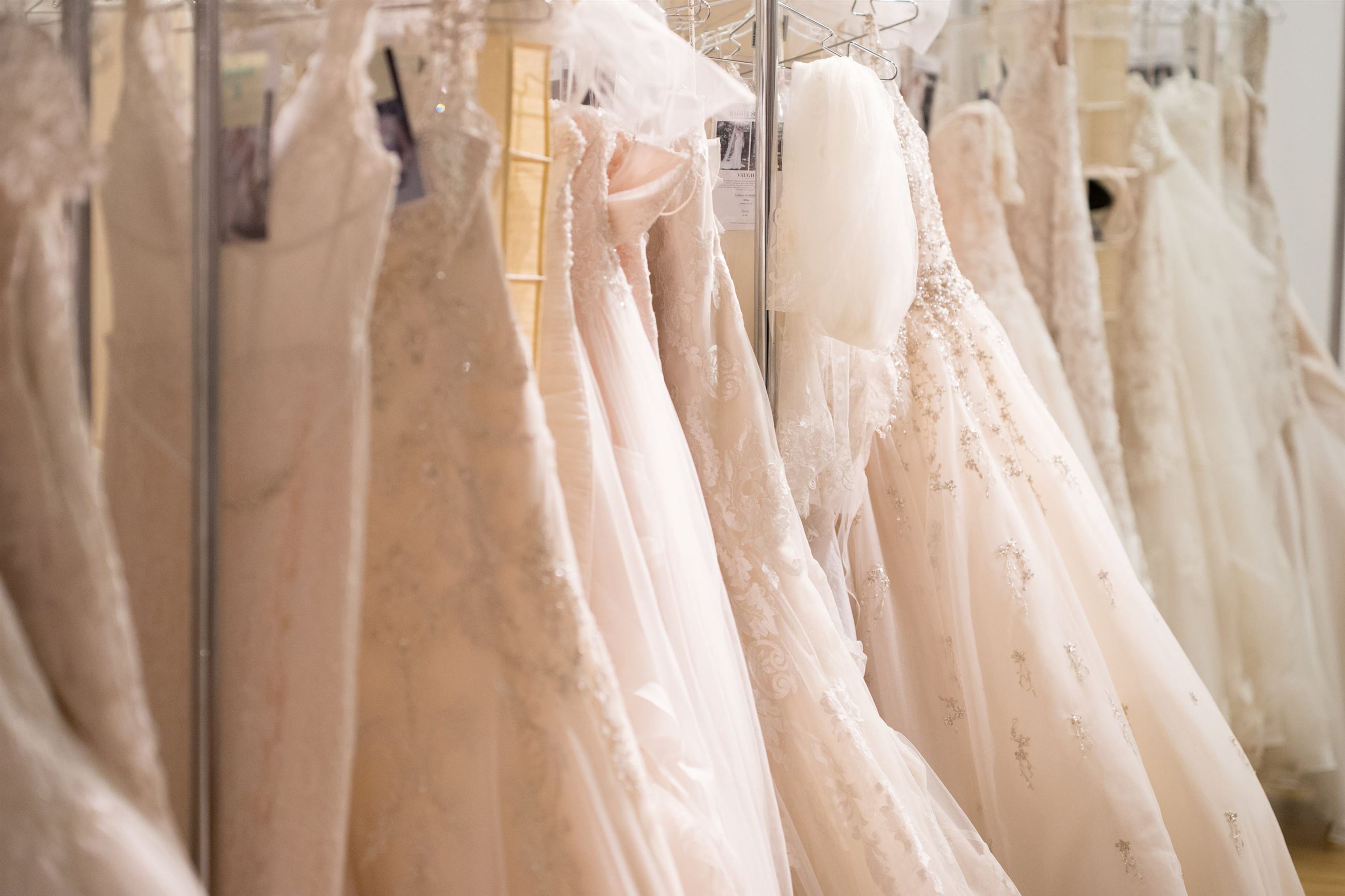 The Ultimate Guide to Wedding Dress Shopping. Desktop Image